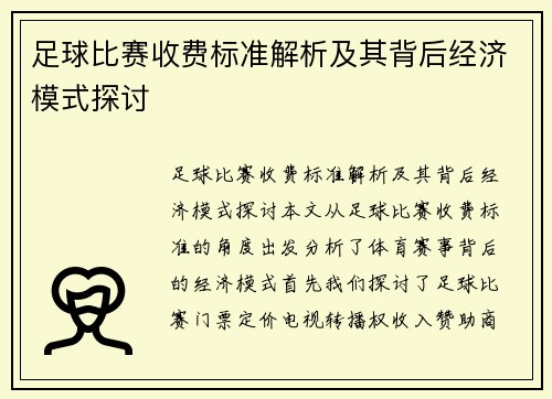 足球比赛收费标准解析及其背后经济模式探讨