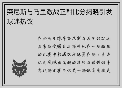 突尼斯与马里激战正酣比分揭晓引发球迷热议