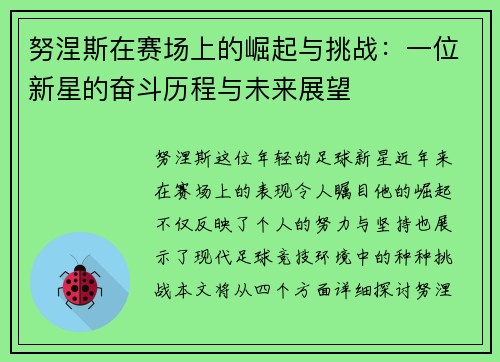 努涅斯在赛场上的崛起与挑战：一位新星的奋斗历程与未来展望