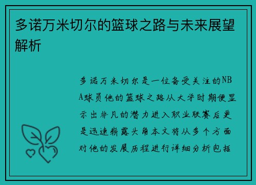 多诺万米切尔的篮球之路与未来展望解析